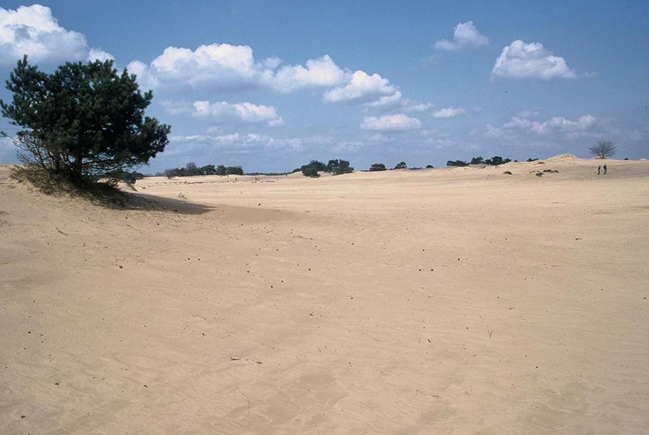 Vakantieverhuur Bienvenue Bojil Exteriér fotografie